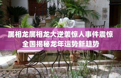 属相龙属相龙大逆袭惊人事件震惊全国揭秘龙年运势新趋势