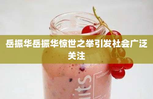岳振华岳振华惊世之举引发社会广泛关注