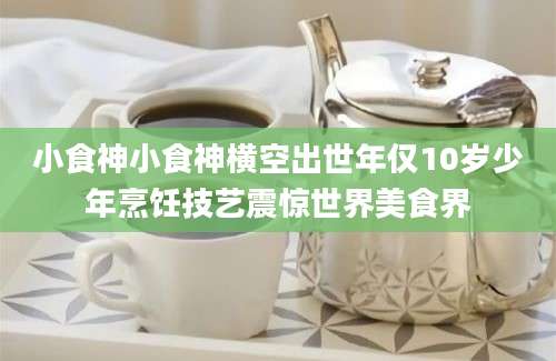 小食神小食神横空出世年仅10岁少年烹饪技艺震惊世界美食界