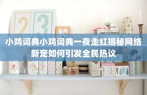 小鸡词典小鸡词典一夜走红揭秘网络新宠如何引发全民热议