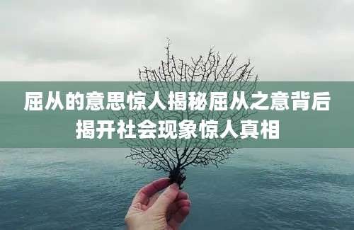 屈从的意思惊人揭秘屈从之意背后揭开社会现象惊人真相