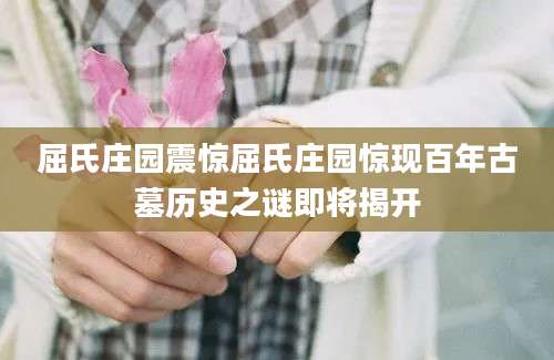 屈氏庄园震惊屈氏庄园惊现百年古墓历史之谜即将揭开