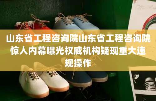 山东省工程咨询院山东省工程咨询院惊人内幕曝光权威机构疑现重大违规操作