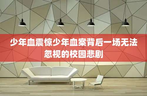 少年血震惊少年血案背后一场无法忽视的校园悲剧