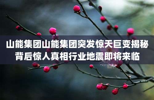 山能集团山能集团突发惊天巨变揭秘背后惊人真相行业地震即将来临