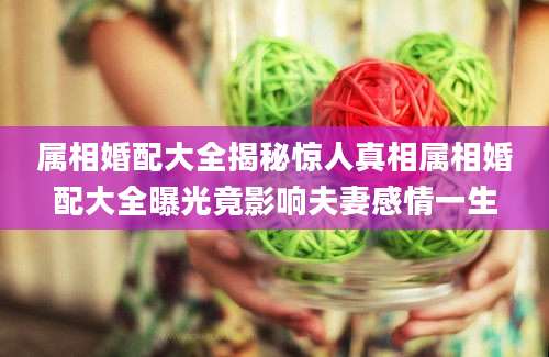 属相婚配大全揭秘惊人真相属相婚配大全曝光竟影响夫妻感情一生