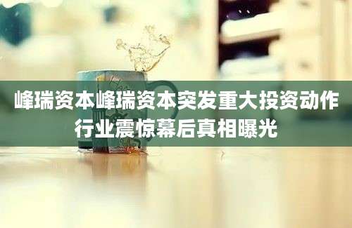 峰瑞资本峰瑞资本突发重大投资动作行业震惊幕后真相曝光