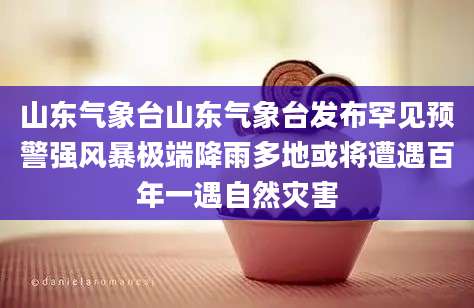 山东气象台山东气象台发布罕见预警强风暴极端降雨多地或将遭遇百年一遇自然灾害
