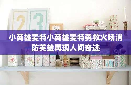 小英雄麦特小英雄麦特勇救火场消防英雄再现人间奇迹