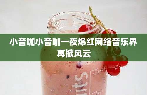 小音咖小音咖一夜爆红网络音乐界再掀风云