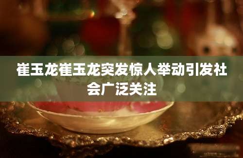 崔玉龙崔玉龙突发惊人举动引发社会广泛关注