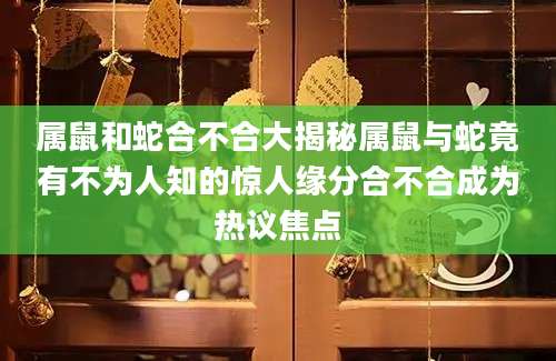 属鼠和蛇合不合大揭秘属鼠与蛇竟有不为人知的惊人缘分合不合成为热议焦点