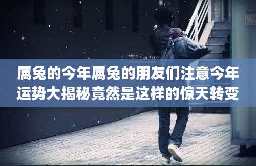 属兔的今年属兔的朋友们注意今年运势大揭秘竟然是这样的惊天转变