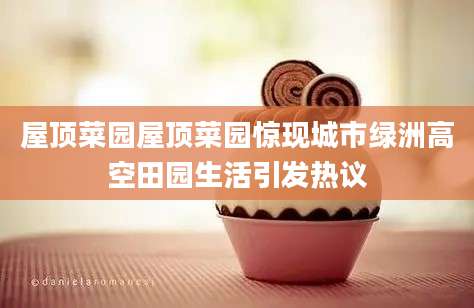 屋顶菜园屋顶菜园惊现城市绿洲高空田园生活引发热议