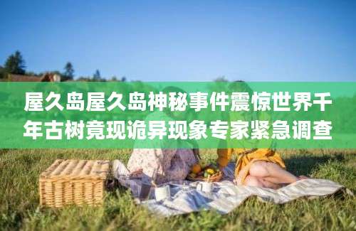 屋久岛屋久岛神秘事件震惊世界千年古树竟现诡异现象专家紧急调查