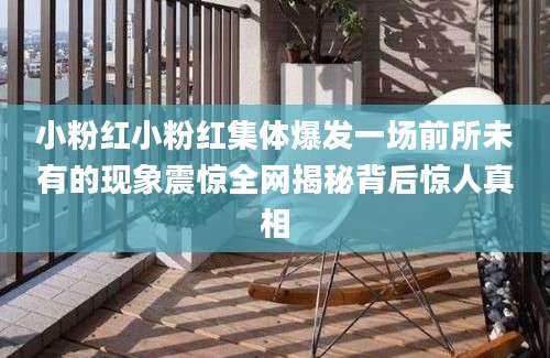 小粉红小粉红集体爆发一场前所未有的现象震惊全网揭秘背后惊人真相