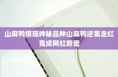 山麻鸭惊现神秘品种山麻鸭逆袭走红竟成网红新宠