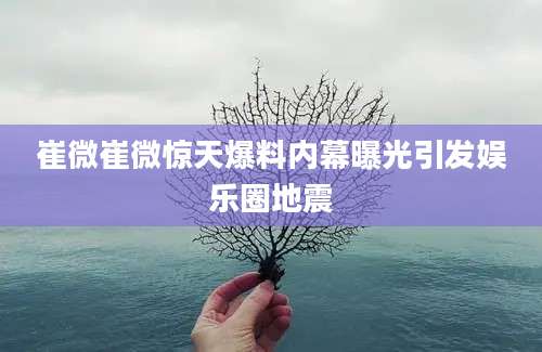 崔微崔微惊天爆料内幕曝光引发娱乐圈地震
