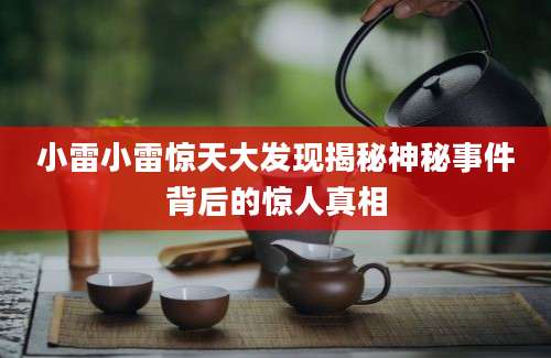 小雷小雷惊天大发现揭秘神秘事件背后的惊人真相