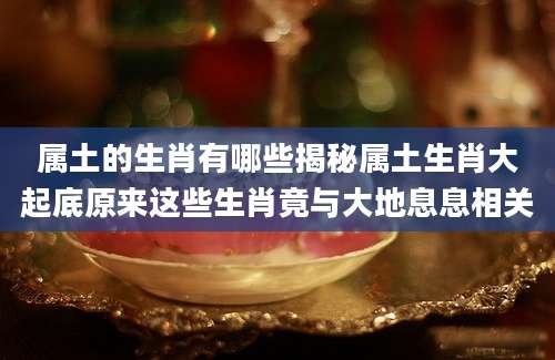 属土的生肖有哪些揭秘属土生肖大起底原来这些生肖竟与大地息息相关