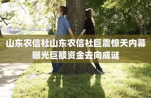 山东农信社山东农信社巨震惊天内幕曝光巨额资金去向成谜