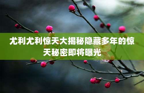 尤利尤利惊天大揭秘隐藏多年的惊天秘密即将曝光