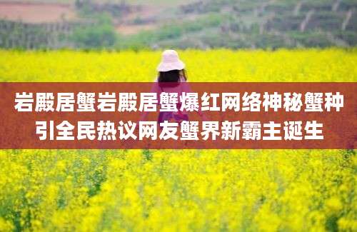 岩殿居蟹岩殿居蟹爆红网络神秘蟹种引全民热议网友蟹界新霸主诞生