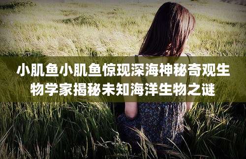 小肌鱼小肌鱼惊现深海神秘奇观生物学家揭秘未知海洋生物之谜