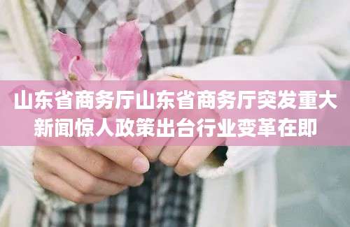 山东省商务厅山东省商务厅突发重大新闻惊人政策出台行业变革在即