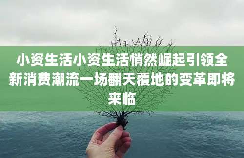 小资生活小资生活悄然崛起引领全新消费潮流一场翻天覆地的变革即将来临