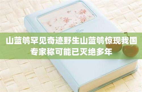 山蓝鸲罕见奇迹野生山蓝鸲惊现我国专家称可能已灭绝多年