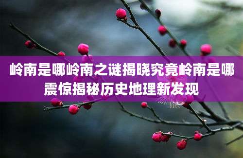 岭南是哪岭南之谜揭晓究竟岭南是哪震惊揭秘历史地理新发现