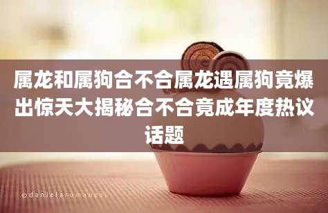 属龙和属狗合不合属龙遇属狗竟爆出惊天大揭秘合不合竟成年度热议话题