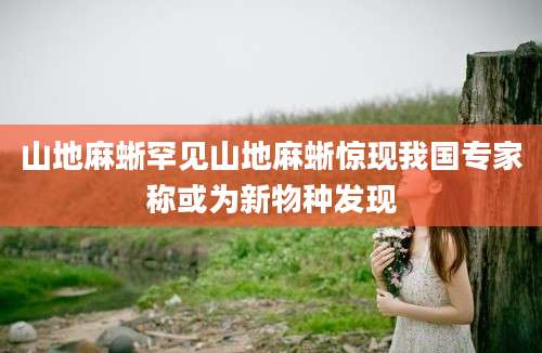 山地麻蜥罕见山地麻蜥惊现我国专家称或为新物种发现