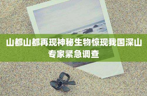 山都山都再现神秘生物惊现我国深山专家紧急调查