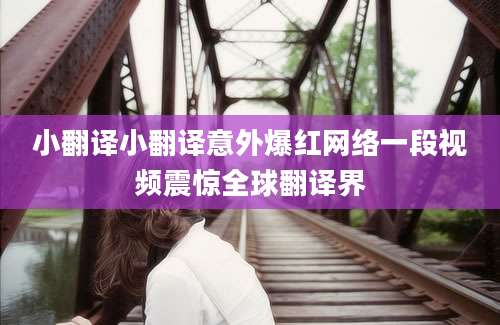 小翻译小翻译意外爆红网络一段视频震惊全球翻译界
