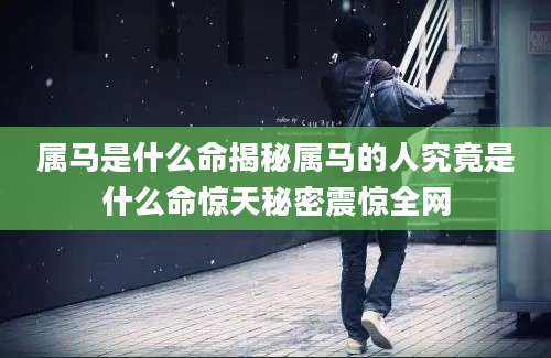 属马是什么命揭秘属马的人究竟是什么命惊天秘密震惊全网