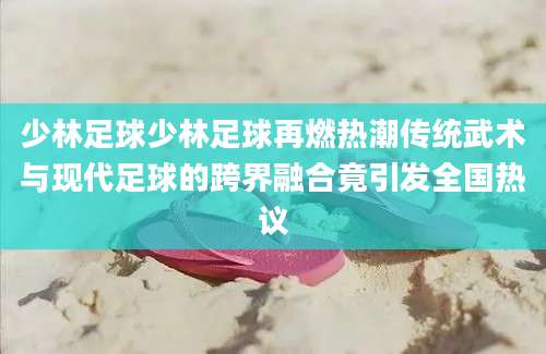 少林足球少林足球再燃热潮传统武术与现代足球的跨界融合竟引发全国热议