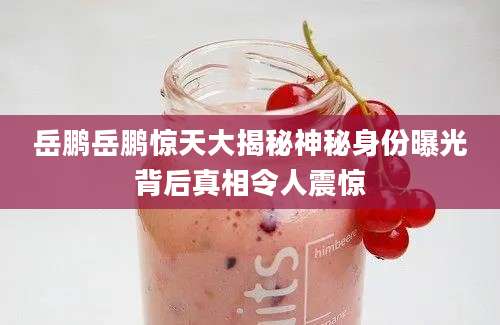 岳鹏岳鹏惊天大揭秘神秘身份曝光背后真相令人震惊