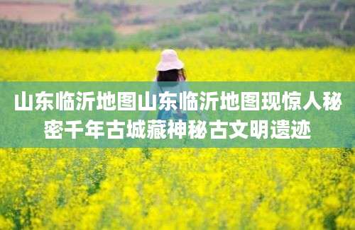 山东临沂地图山东临沂地图现惊人秘密千年古城藏神秘古文明遗迹