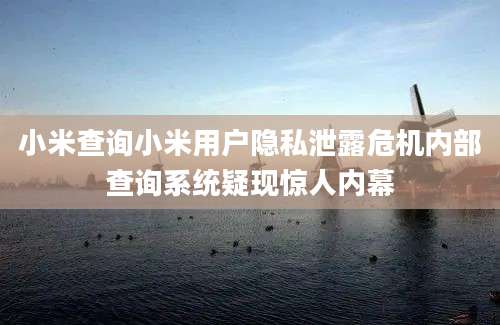 小米查询小米用户隐私泄露危机内部查询系统疑现惊人内幕