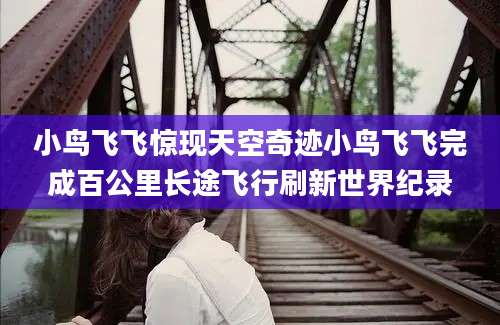 小鸟飞飞惊现天空奇迹小鸟飞飞完成百公里长途飞行刷新世界纪录