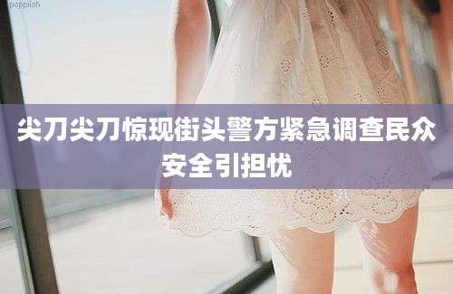 尖刀尖刀惊现街头警方紧急调查民众安全引担忧
