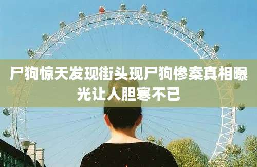 尸狗惊天发现街头现尸狗惨案真相曝光让人胆寒不已