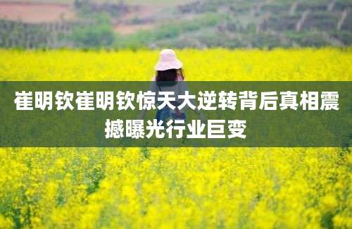 崔明钦崔明钦惊天大逆转背后真相震撼曝光行业巨变