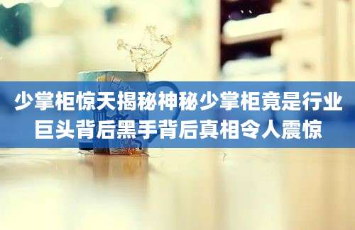 少掌柜惊天揭秘神秘少掌柜竟是行业巨头背后黑手背后真相令人震惊