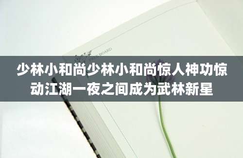 少林小和尚少林小和尚惊人神功惊动江湖一夜之间成为武林新星