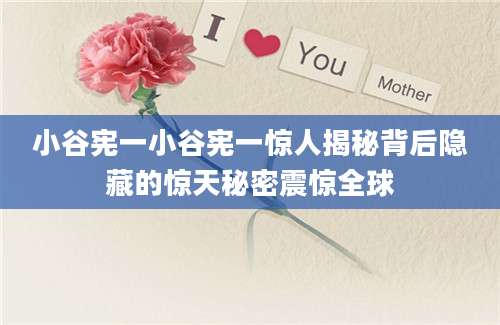 小谷宪一小谷宪一惊人揭秘背后隐藏的惊天秘密震惊全球