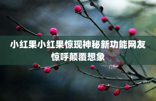 小红果小红果惊现神秘新功能网友惊呼颠覆想象