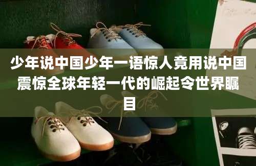 少年说中国少年一语惊人竟用说中国震惊全球年轻一代的崛起令世界瞩目